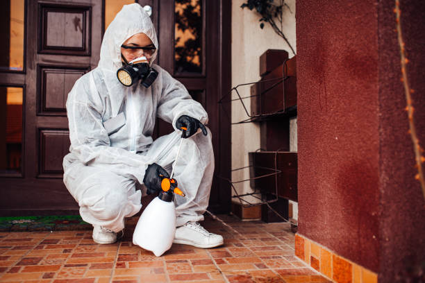 Reliable Cockroach Control contractor in Steiner Ranch, TX by Nex Pest Control